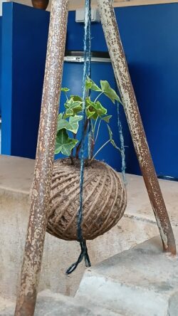 Atelier de teinture à l'indigo à Marseille